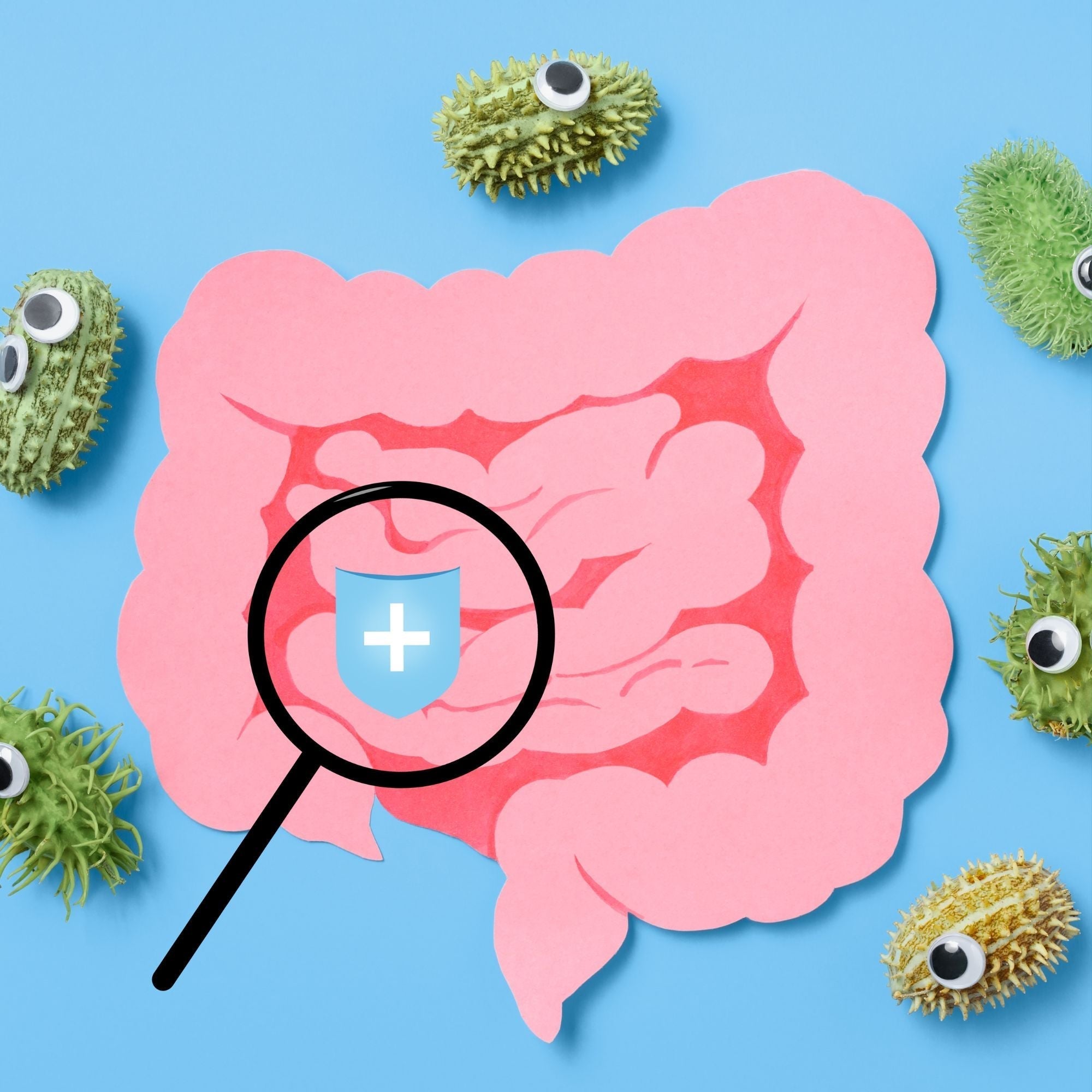 Le microbiote intestinal : allié secret pour une perte de poids durable avec maju !