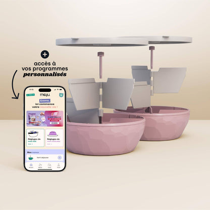 [Crème et rose / Crème et rose]