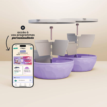 [Crème et violet / Crème et violet]