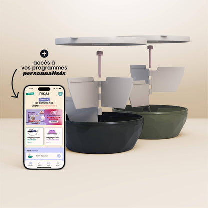 [Crème et noir / Crème et kaki][Crème et kaki / Crème et noir]