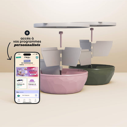 [Crème et rose / Crème et kaki][Crème et kaki / Crème et rose]