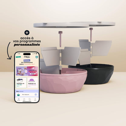 [Crème et rose / Crème et noir][Crème et noir / Crème et rose]