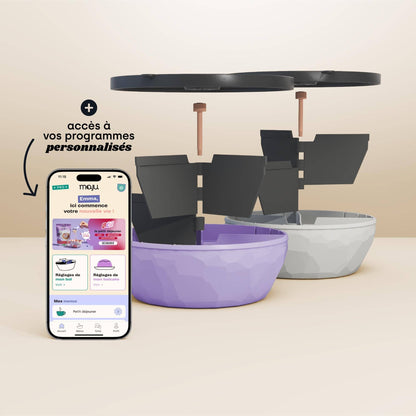 [Crème et violet / Anthracite et blanc][Anthracite et blanc / Crème et violet]