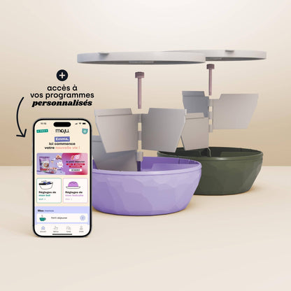 [Crème et violet / Crème et kaki][Crème et kaki / Crème et violet]