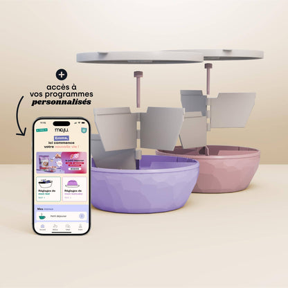 [Crème et rose / Crème et violet][Crème et violet / Crème et rose]